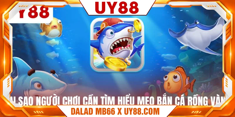 Tại sao người chơi cần tìm hiểu mẹo bắn cá rồng vàng