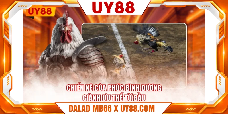 Chiến kê của Phúc Bình Dương giành ưu thế từ đầu